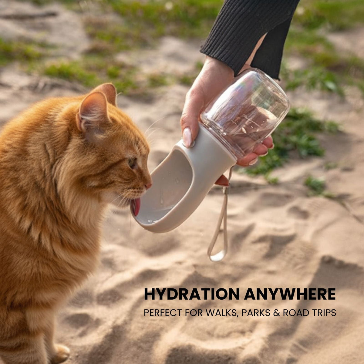 CAT WATER BOTTLE