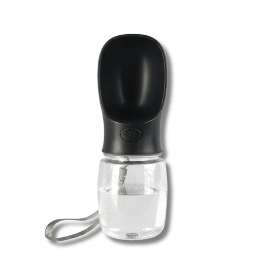 CAT WATER BOTTLE