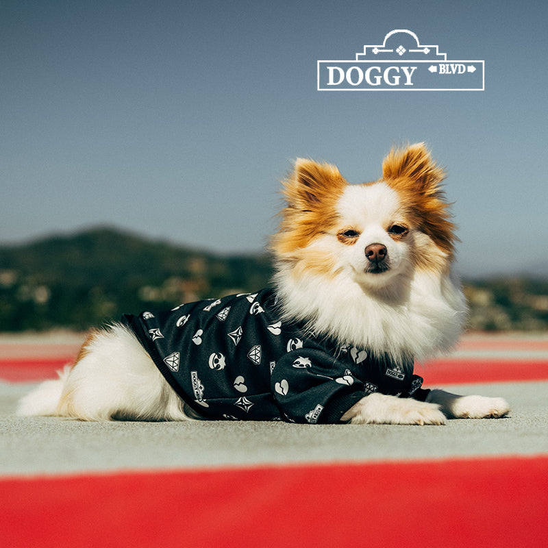 Doggy Blvd X Slothacid Collab Dope Hoodie