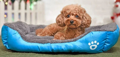 Calming Sleep Doggy Warped Bed