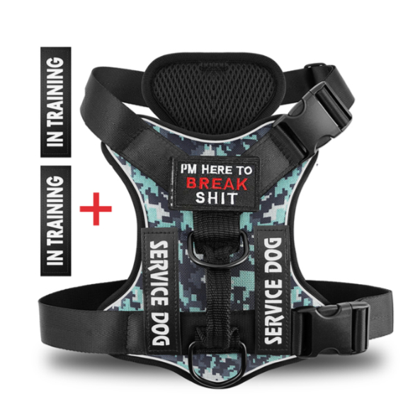 Hound Hustle Posh Harness