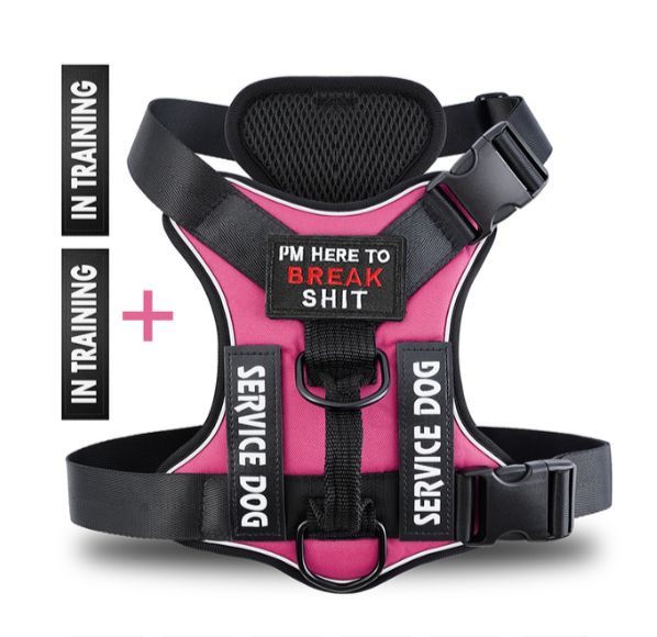 Hound Hustle Posh Harness